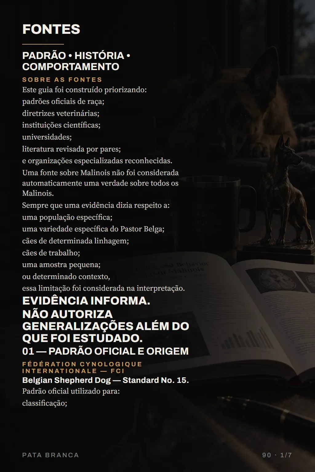 Página do guia: Fontes — padrão, história e comportamento.